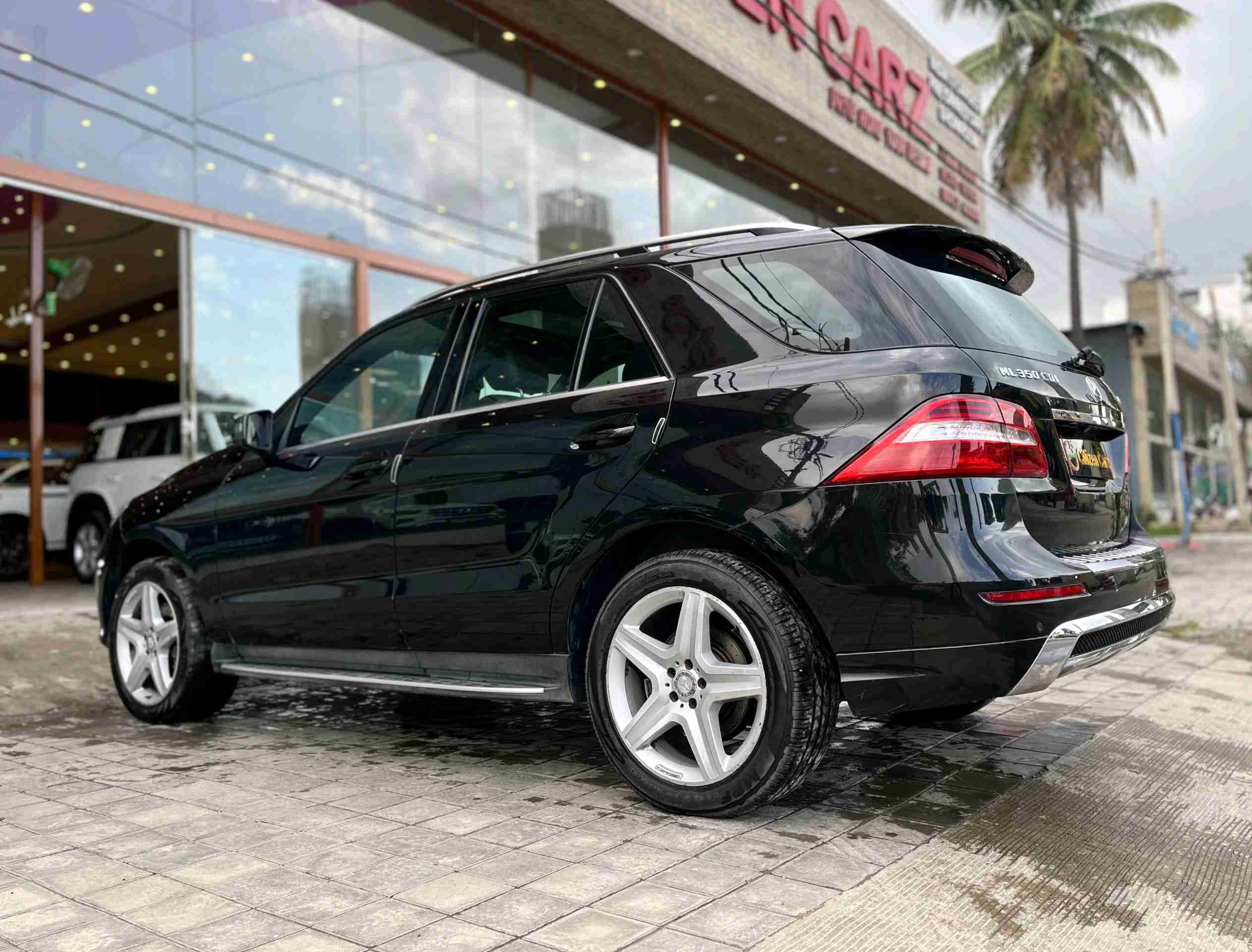Mercedes Benz Ml Class photo 13