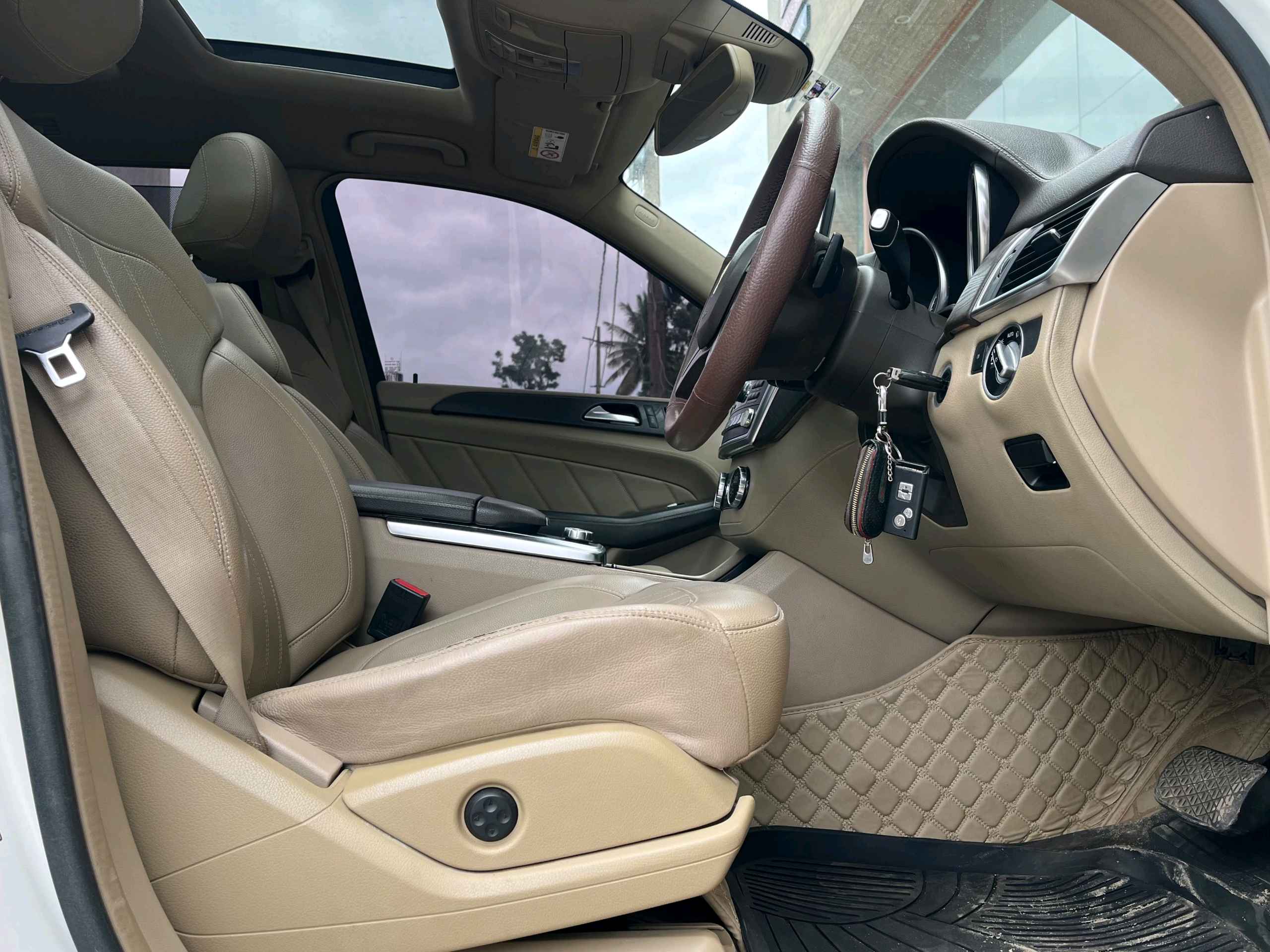 Mercedes Benz Gl Class photo 19
