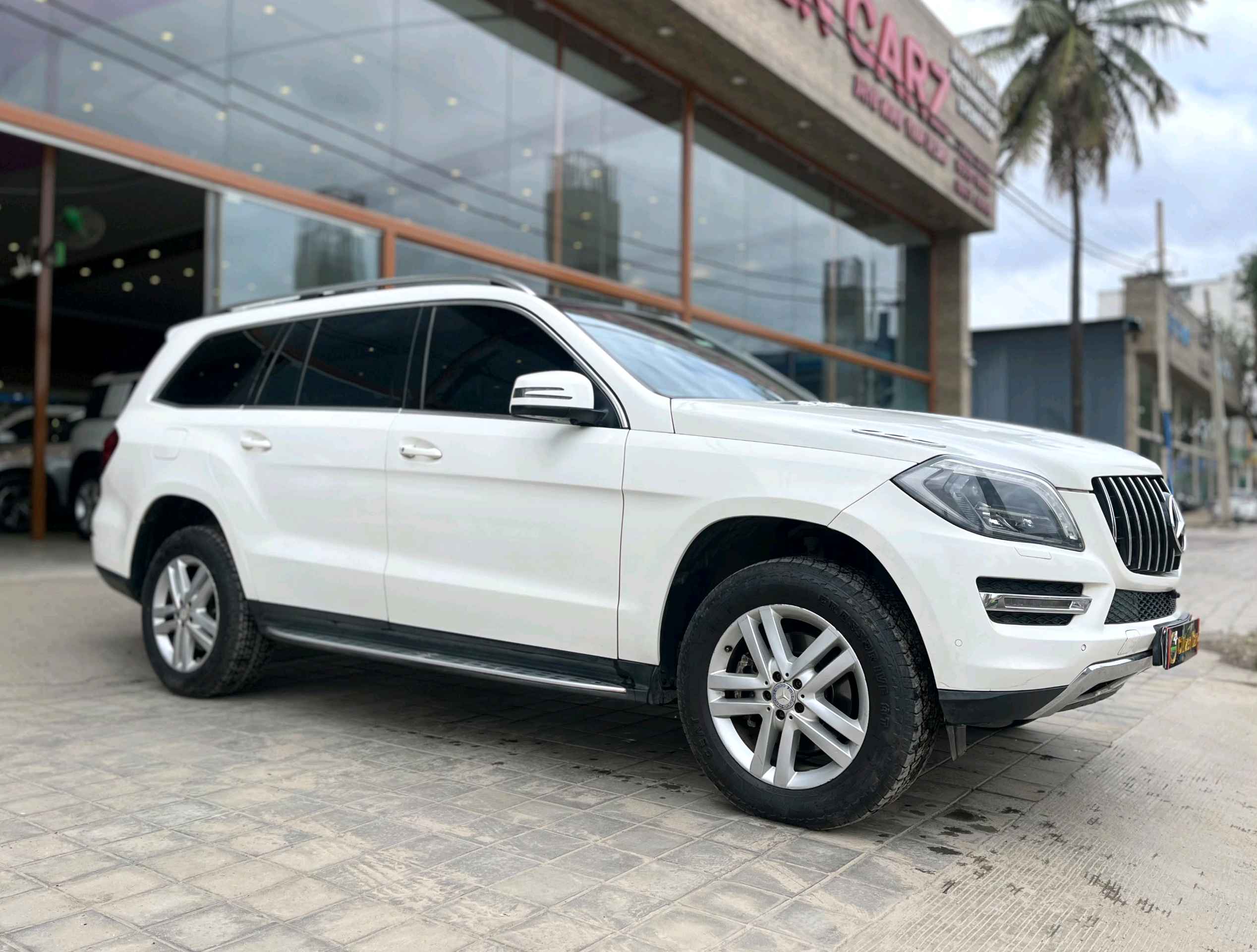Mercedes Benz Gl Class photo 3